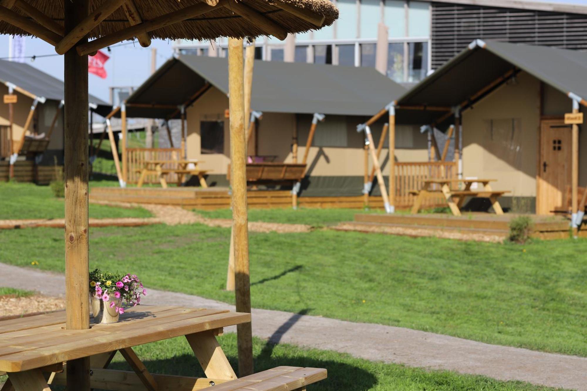 Safaritent Wood Xl Met Tuinzicht